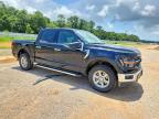 2025 Ford F150 XLT