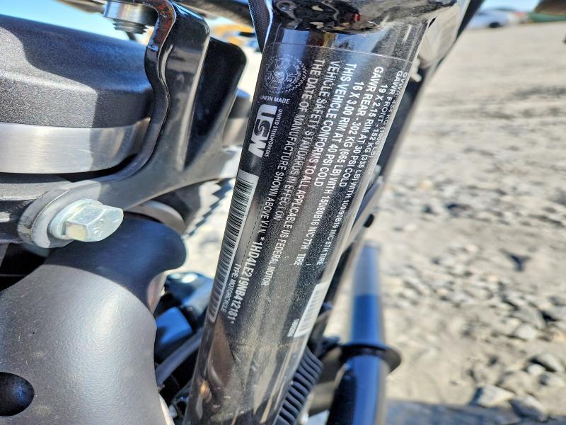 2022 Harley-Davidson XL883 N