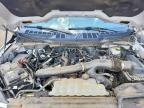 2024 Ford F150 XLT