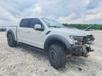 2017 Ford F150 Raptor