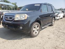 Honda salvage cars for sale: 2011 Honda Pilot EX