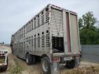 2009 Wilson Livestock