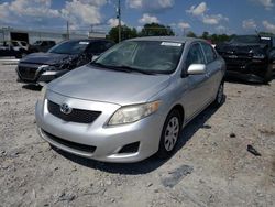 Toyota salvage cars for sale: 2010 Toyota Corolla Base