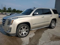 2015 Cadillac Escalade Luxury for sale in Lawrenceburg, KY