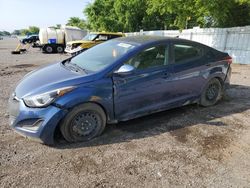 Hyundai salvage cars for sale: 2016 Hyundai Elantra SE