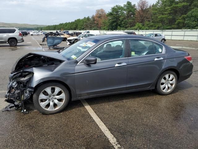 2010 Honda Accord EXL