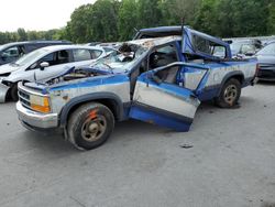 Dodge salvage cars for sale: 1996 Dodge Dakota