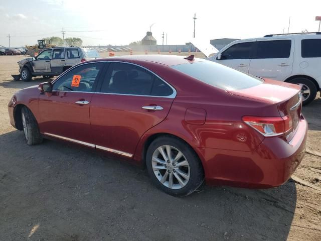 2010 Lexus ES 350