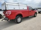 2009 Ford F150