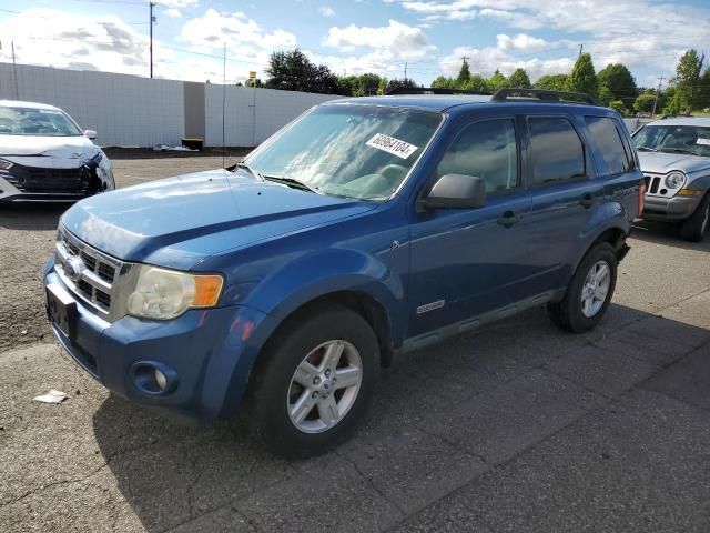 2008 Ford Escape HEV