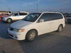 Honda Odyssey exl salvage cars for sale: 2003 Honda Odyssey EXL