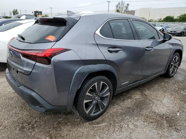 2019 Lexus UX 250H