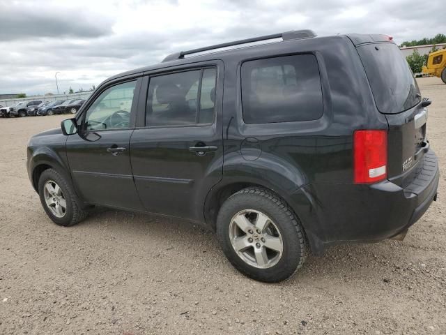 2011 Honda Pilot EXL