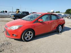 Ford Focus salvage cars for sale: 2014 Ford Focus SE