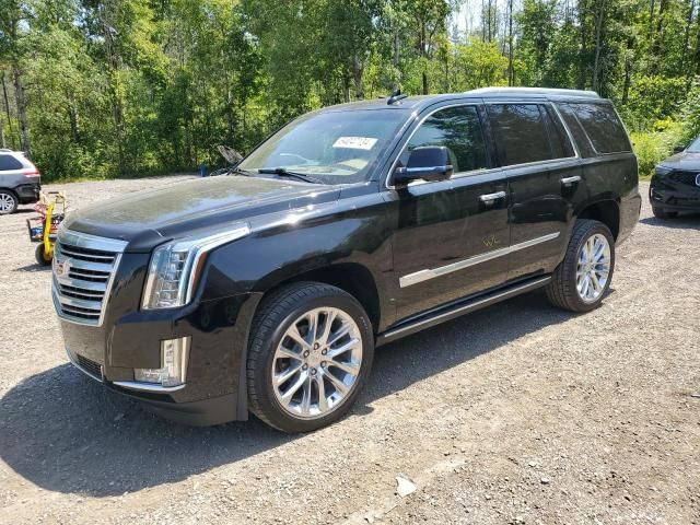 2019 Cadillac Escalade Platinum