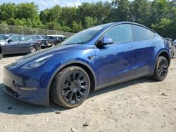 Tesla salvage cars for sale: 2023 Tesla Model Y