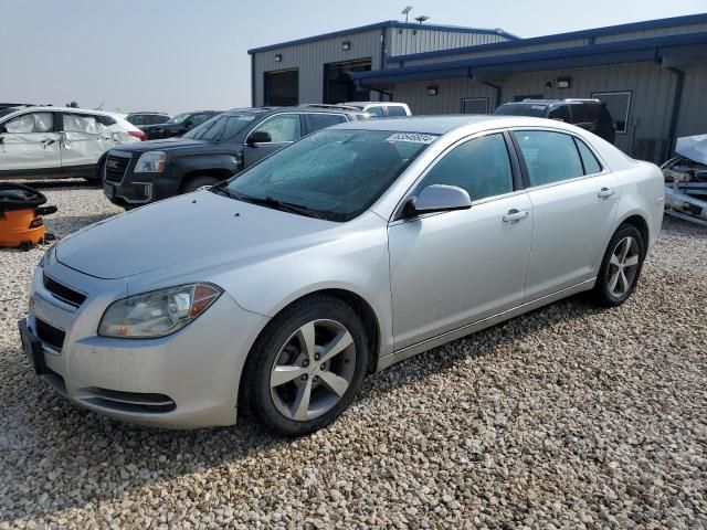 2011 Chevrolet Malibu 1LT