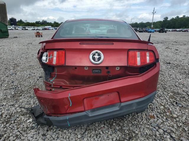 2010 Ford Mustang