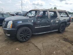 Cadillac Vehiculos salvage en venta: 2013 Cadillac Escalade ESV Luxury