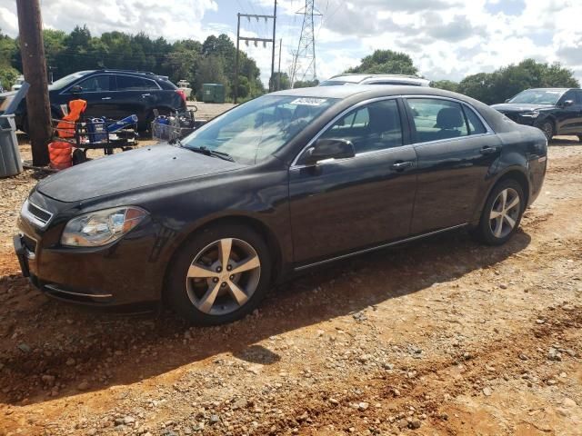 2011 Chevrolet Malibu 1LT