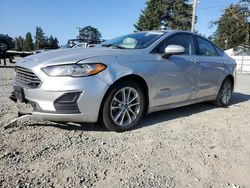 Ford salvage cars for sale: 2019 Ford Fusion SE