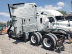 2019 Freightliner Cascadia 126