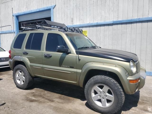 2002 Jeep Liberty Renegade