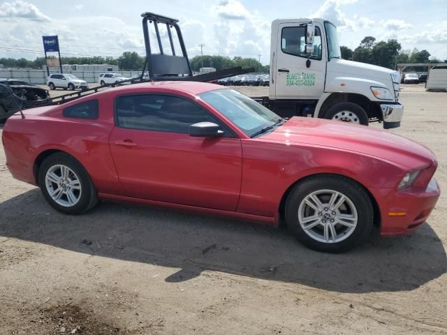 2013 Ford Mustang