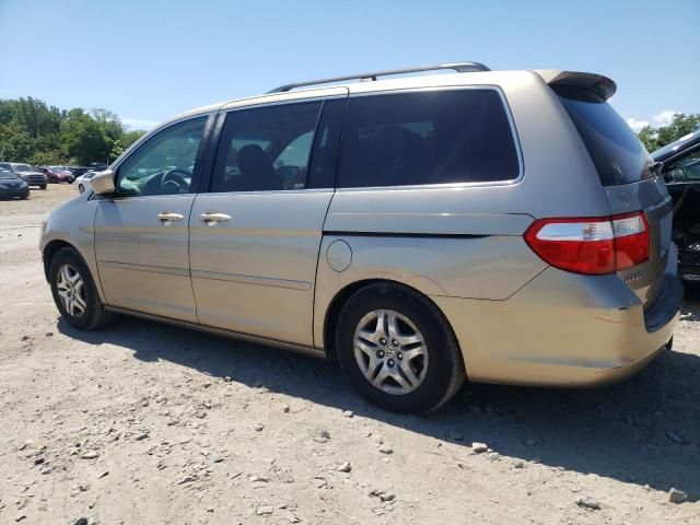 2006 Honda Odyssey EXL