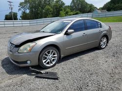 Nissan Maxima salvage cars for sale: 2004 Nissan Maxima SE