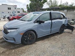 2024 Honda Odyssey Sport for sale in Opa Locka, FL