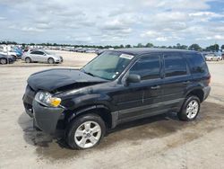 Ford salvage cars for sale: 2005 Ford Escape XLT