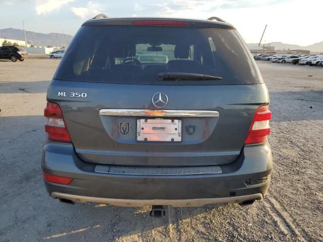 2010 Mercedes-Benz ML 350