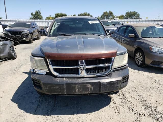 2008 Dodge Dakota Quattro