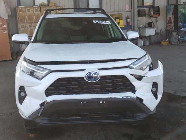 2024 Toyota Rav4 XLE Premium