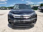 2019 Honda Pilot EXL