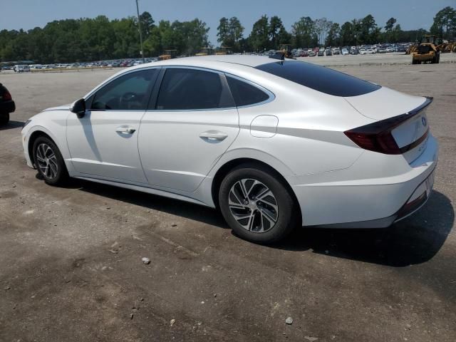 2021 Hyundai Sonata Hybrid