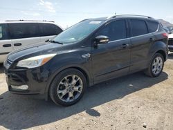 Ford Escape salvage cars for sale: 2014 Ford Escape Titanium