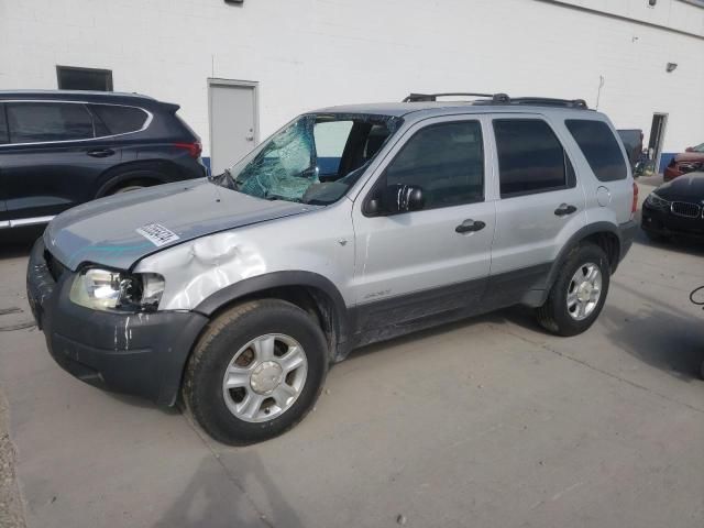 2002 Ford Escape XLT