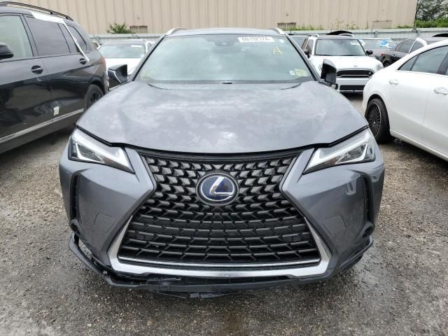 2019 Lexus UX 250H