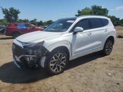 Hyundai Santa fe salvage cars for sale: 2023 Hyundai Santa FE Calligraphy