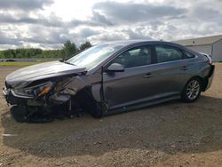 Hyundai Sonata salvage cars for sale: 2019 Hyundai Sonata SE