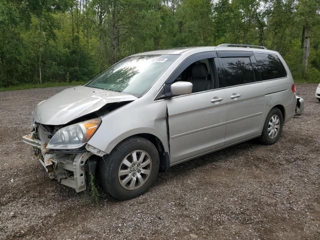 2008 Honda Odyssey EXL