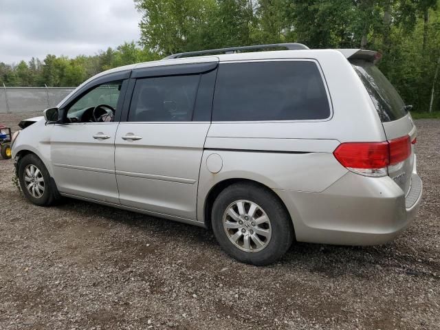 2008 Honda Odyssey EXL