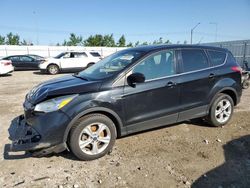 2014 Ford Escape SE for sale in Nisku, AB