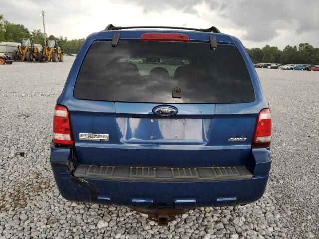 2008 Ford Escape XLT