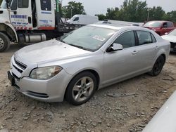 Chevrolet salvage cars for sale: 2009 Chevrolet Malibu 1LT