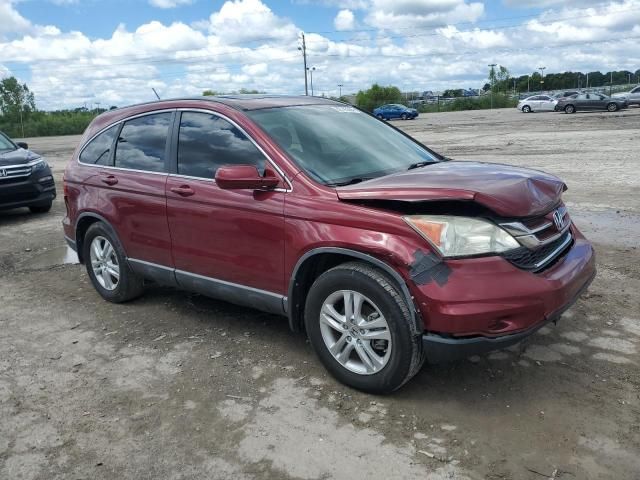 2010 Honda CR-V EXL