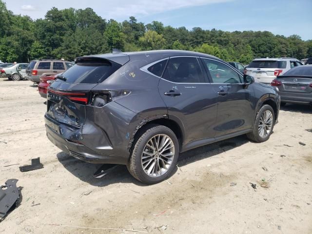 2022 Lexus NX 350