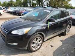 Ford Escape salvage cars for sale: 2013 Ford Escape SEL